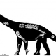 Skeletal reconstruction of the new dinosaur. (Image: Travis Tischler / © Australian Age of Dinosaurs Museum of Natural History)